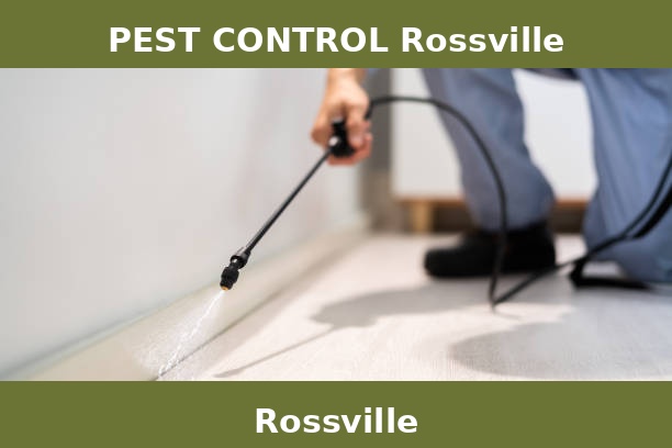 PEST CONTROL Rossville